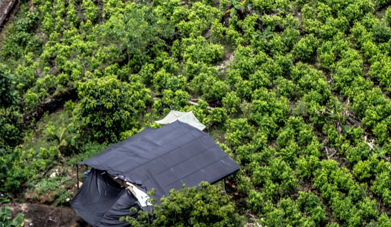Compra de terrenos en Nariño: ANT buscará acabar conflicto de tierras en Tumaco