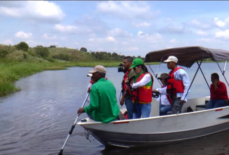 Investigan muerte de manatí en la Ciénaga El Llanito en Barrancabermeja: Investigan muerte de manatí en la Ciénaga El Llanito en Barrancabermeja