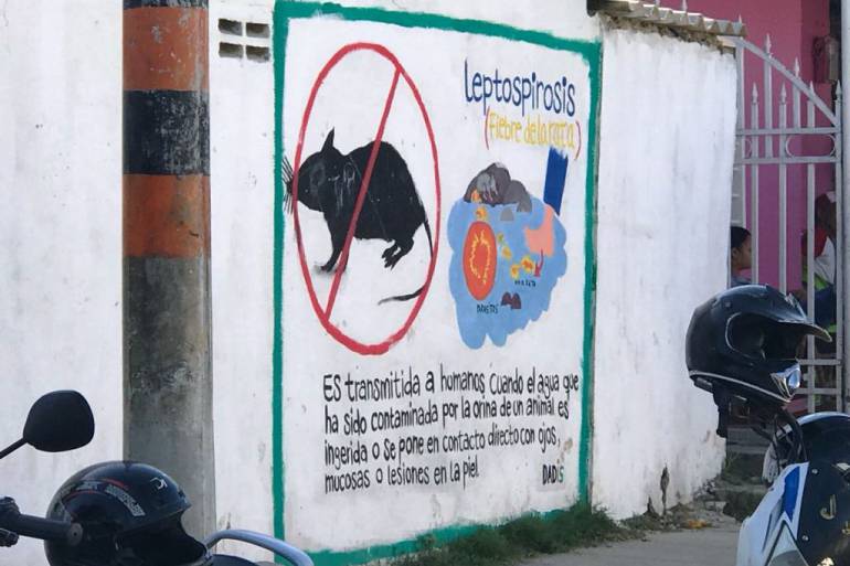 Denuncian muerte de dos jóvenes en Cartagena al parecer por leptospirosis: Denuncian muerte de dos jóvenes en Cartagena al parecer por leptospirosis