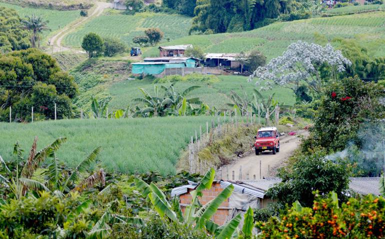 Cambio en estratificación de predios rurales afecta a Altagracia