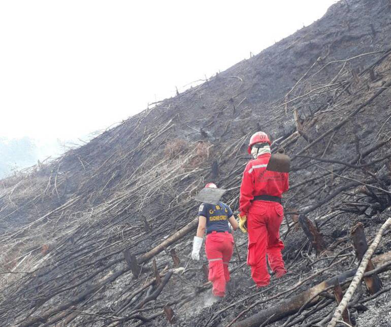 CONFLAGRACIÓN, INCENDIOS, LLAMAS: Racha de incendios forestales en Santander