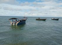 Tres muertos y cinco heridos deja balacera en desfile náutico en Tumaco