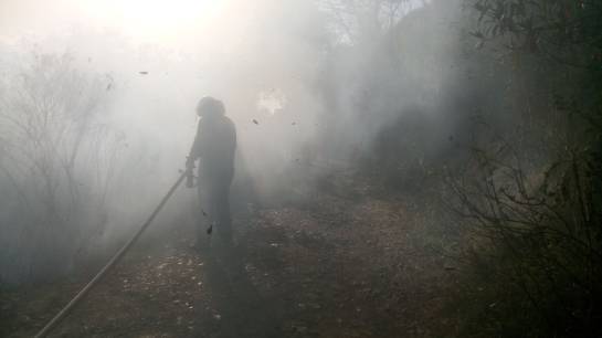 Casi 30 hectáreas de bosque destruidas por incendio en Guateque, Boyacá: Casi 30 hectáreas de bosque destruidas por incendio en Guateque, Boyacá Casi 30 hectáreas de bosque destruidas por incendio en Guateque, Boyacá: Casi 30 hectáreas de bosque destruidas por incendio en Guateque, Boyacá