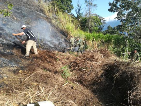 Casi 30 hectáreas de bosque destruidas por incendio en Guateque, Boyacá: Casi 30 hectáreas de bosque destruidas por incendio en Guateque, Boyacá Casi 30 hectáreas de bosque destruidas por incendio en Guateque, Boyacá: Casi 30 hectáreas de bosque destruidas por incendio en Guateque, Boyacá
