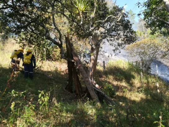 Casi 30 hectáreas de bosque destruidas por incendio en Guateque, Boyacá: Casi 30 hectáreas de bosque destruidas por incendio en Guateque, Boyacá Casi 30 hectáreas de bosque destruidas por incendio en Guateque, Boyacá: Casi 30 hectáreas de bosque destruidas por incendio en Guateque, Boyacá