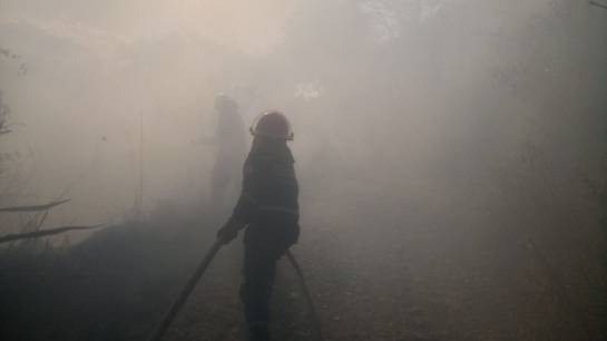 Casi 30 hectáreas de bosque destruidas por incendio en Guateque, Boyacá: Casi 30 hectáreas de bosque destruidas por incendio en Guateque, Boyacá Casi 30 hectáreas de bosque destruidas por incendio en Guateque, Boyacá: Casi 30 hectáreas de bosque destruidas por incendio en Guateque, Boyacá