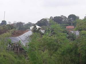 Se adelanta al parecer de forma irregularidad la adecuación de 3mil metros cuadrados de tierra Se adelanta al parecer de forma irregularidad la adecuación de 3mil metros cuadrados de tierra