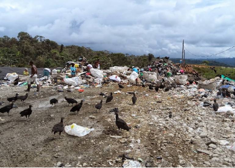 Emergencia sanitaria en Buenaventura: Procuraduría advierte emergencia sanitaria en Buenaventura