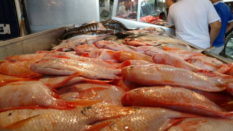 PESCADOS, PECES, CUARESMA, SEMANA SANTA, VIERNES: Recomendaciones para comprar pescado en época de cuaresma