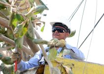 Por brisas Electricaribe activa plan de contingencia en Barranquilla