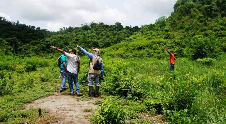 574 sentencias de tierras a favor de las víctimas en Bolívar: 574 sentencias de tierras a favor de las víctimas en Bolívar