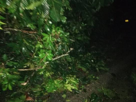 Vendavales causan emergencias en Chocó: Al menos 30 casas destechadas dejaron vendaval en Istmina, Chocó Vendavales causan emergencias en Chocó: Al menos 30 casas destechadas dejaron vendaval en Istmina, Chocó