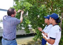Escuela Naval de Cartagena aporta a la restauración del manglar