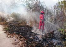 Incendio forestal afecta 3 fincas en Candelaria, Atlántico