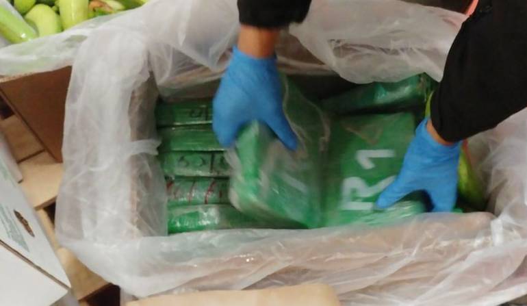 Lucha contra cultivos ilicitos en cauca: Dura ofensiva contra el narcotráfico en Cauca