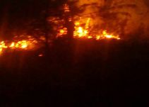 Aumentan incendios forestales en el Tolima