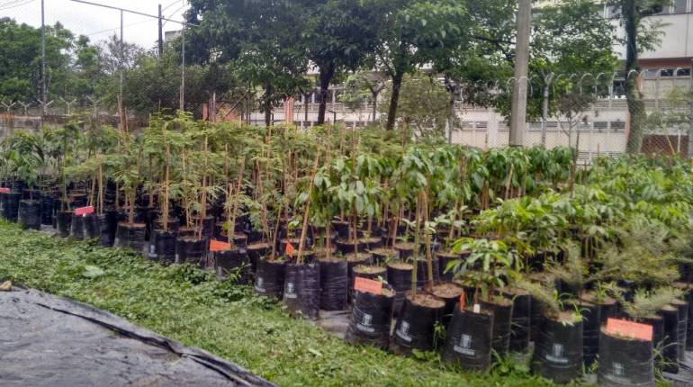 Semana santa,reforzarán,protección,flora,fauna: Antes y durante Semana Santa reforzarán la protección a flora y fauna