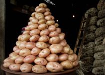 La importación de papa nos tiene trabajando a pérdida: Fedepapa