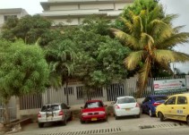Boxeador venezolano fue contratado para pelear por $800.000