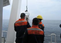 Realizan primer monitoreo del año de ecosistemas costeros en Cartagena