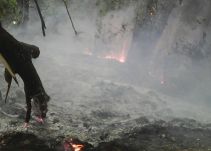 En aumento número de incendios forestales en Risaralda
