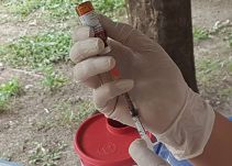 Autoridades de Tolima estudian casos sospechosos de sarampión