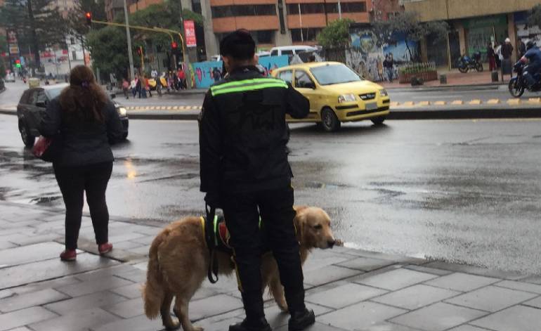 ¿Seguridad privada?
