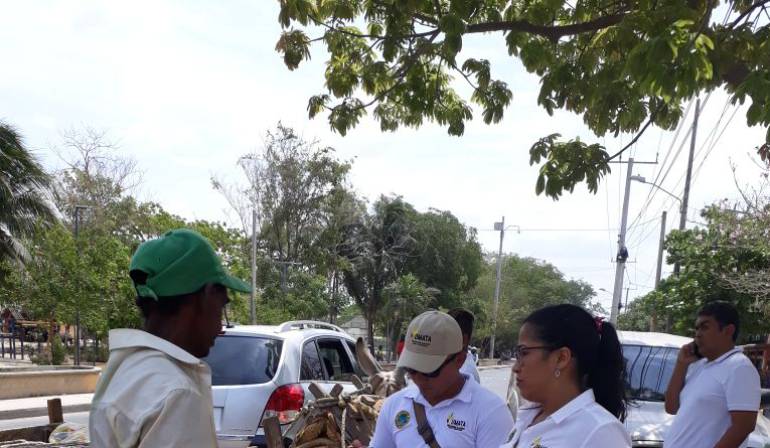 Protección de animales en cartagena: Umata adelanta jornada sobre protección y bienestar animal en Cartagena