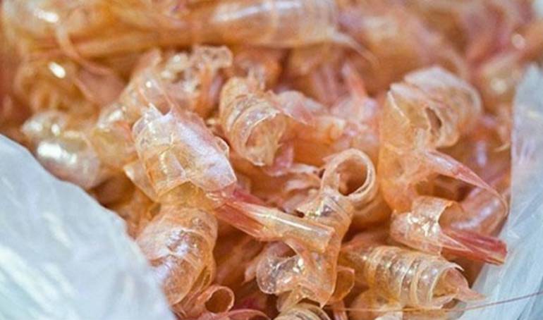 UniCartagena logró usar residuos del camarón para limpiar agua contaminada