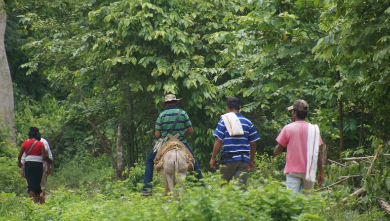 Reclamantes, tierras, asesinados, en, últimos, 10, años: 21 reclamantes de tierras han sido asesinados en los últimos 10 años