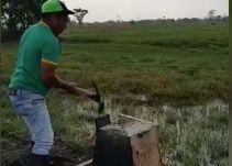 En Turbo derriban muros instalados por el IGAC para delimitar el territorio