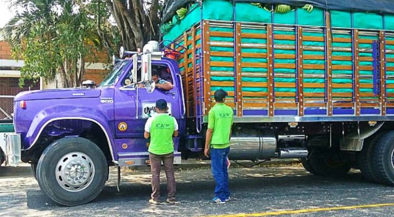 Agronomía Bolívar: Instituto Colombiano Agropecuario, supervisa productos vegetales en Bolívar