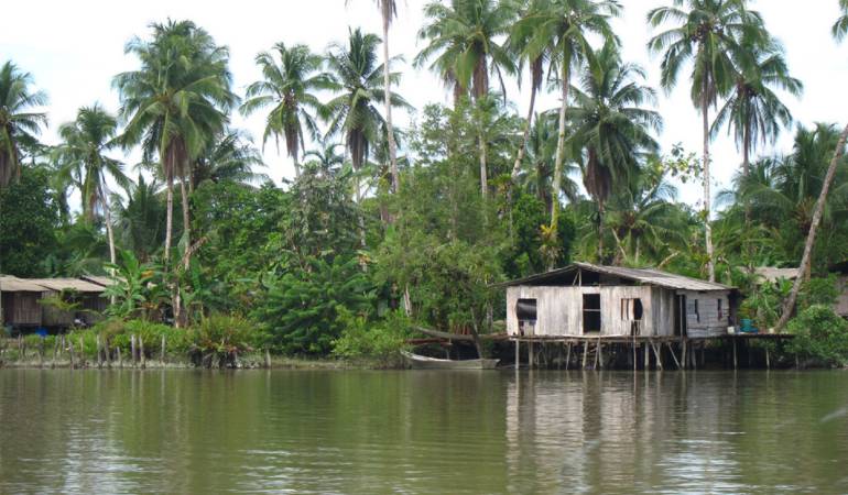 Desaparecidos Rio Naya: Buscan a 3 miembros del Consejo Comunitario del río Naya