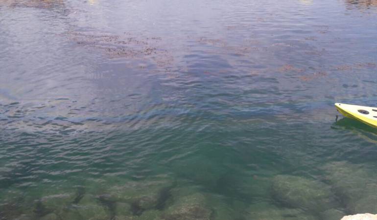 Manchas oscuras en el Mar: Alarma en Coveñas por mancha oscura en el mar