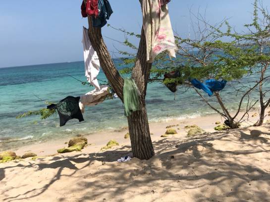 Playa Blanca cerrada: 'Hippielandia': Turistas que viven meses en carpas en las playas de Barú Playa Blanca cerrada: 'Hippielandia': Turistas que viven meses en carpas en las playas de Barú