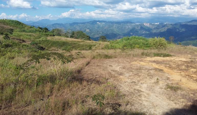Terrenos donde se construye Aerocafé en Palestina, Caldas