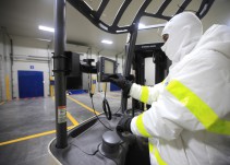 ICA certificó al puerto de Barranquilla para exportación de aguacates