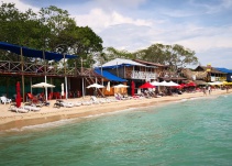 Barú, refugio de tortugas