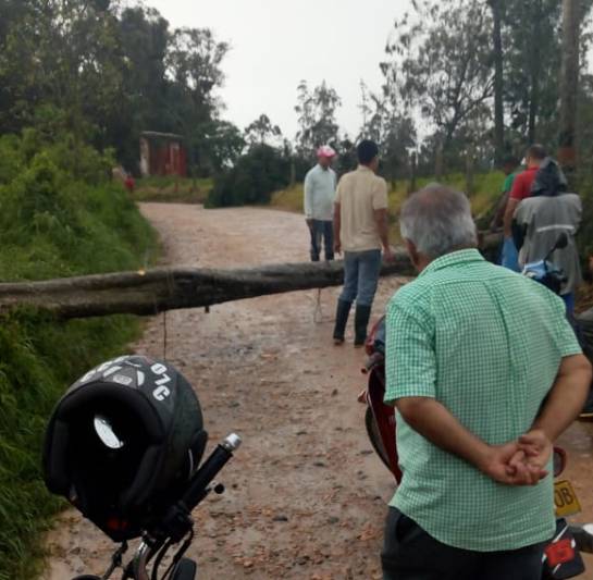 BUCARAMANGA LOS SANTOS GRANIZADA ENERGÍA: Video: Granizada ocasiona corte de luz en Santander BUCARAMANGA LOS SANTOS GRANIZADA ENERGÍA: Video: Granizada ocasiona corte de luz en Santander