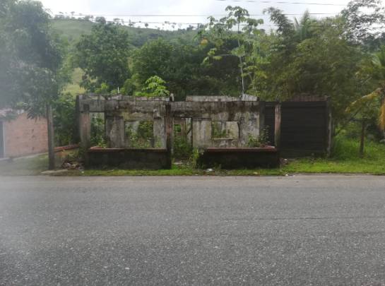 La maleza se está 'tragando' las ruinas de algunas viviendas que fueron abandonas por su propietarios a la orilla de la carretera de Puerto Valdivia. La maleza se está 'tragando' las ruinas de algunas viviendas que fueron abandonas por su propietarios a la orilla de la carretera de Puerto Valdivia.