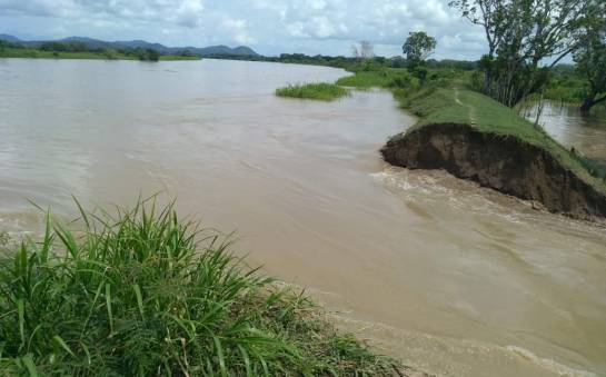 Río Cauca: Río Cauca rompe jarillón en Guaranda y crece riesgo de inundación Río Cauca: Río Cauca rompe jarillón en Guaranda y crece riesgo de inundación