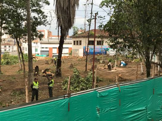 BUCARAMANGA TALA DE ÁRBOLES NORMAL SUPERIOR PROTESTAS: Video: Pupitrazo en la Normal Superior por tala de árboles BUCARAMANGA TALA DE ÁRBOLES NORMAL SUPERIOR PROTESTAS: Video: Pupitrazo en la Normal Superior por tala de árboles