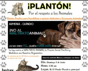 El maltrato animal no para en la ciudad de Armenia El maltrato animal no para en la ciudad de Armenia