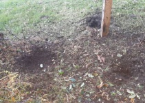 Militares resultaron heridos al caer en campo minado en el Catatumbo