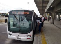 Transmetro denuncia intento de agresión de menor a un guía del Sistema