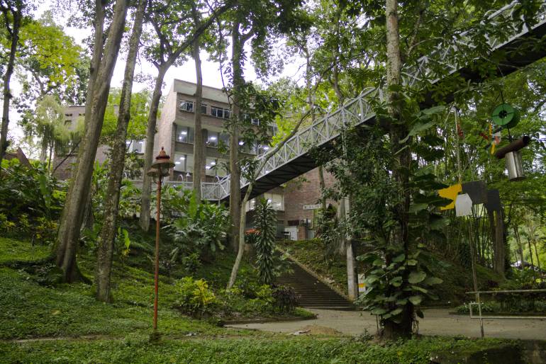 BUCARAMANGA DÍA SIN CARRO MOTOCICLETAS AMBIENTE CRÍTICAS: Universidad Autónoma le "saca el quite" al día sin carro