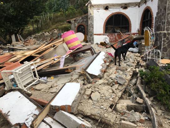 Terremoto Volcán Galeras Nariño Pasto: Dos personas muertas tras fuerte sismo en el volcán Galeras Terremoto Volcán Galeras Nariño Pasto: Dos personas muertas tras fuerte sismo en el volcán Galeras