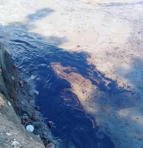 SANTANDER RÍO MAGDALENA CRUDO ECOPETROL: Así está la contaminación generada por derrame de crudo en el Magdalena SANTANDER RÍO MAGDALENA CRUDO ECOPETROL: Así está la contaminación generada por derrame de crudo en el Magdalena
