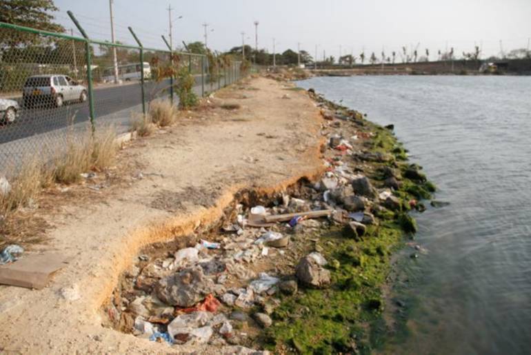Concejo debatirá situación ambiental de avenida del Lago, en Cartagena: Concejo debatirá situación ambiental de avenida del Lago, en Cartagena