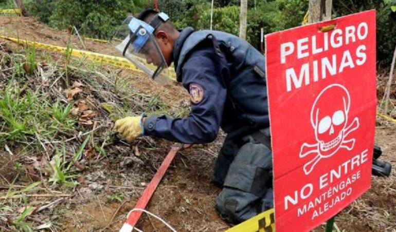 desminado humanitario: Nuevos municipios serán entregados como zonas libres de minas en Tolima